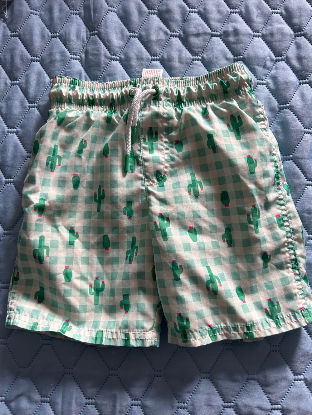 Cat & Jack Mint Green Plaid Cactus Swim Trunks